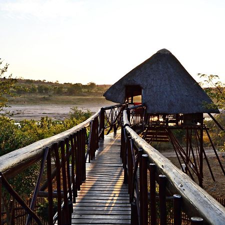 Bona Ngwenya Lodge & Safaris Marloth Park Esterno foto